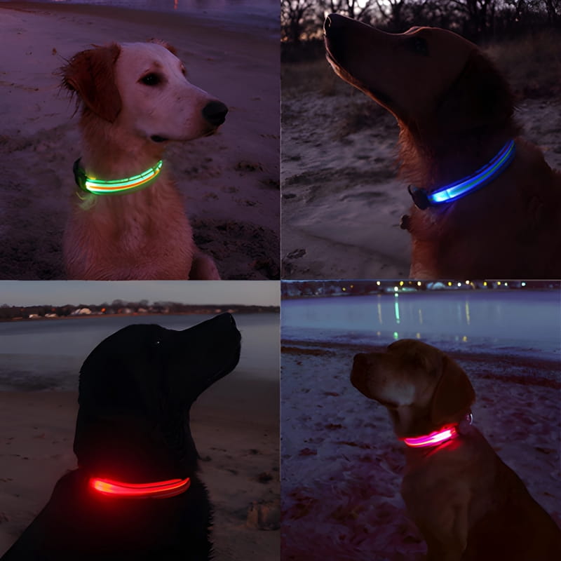 Twilight Guardian LED Collar